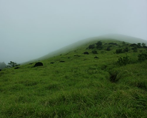 Free HTML5 Bootstrap Template by FreeHTML5.co